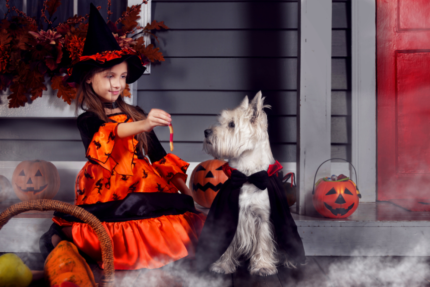 Halloween Poisonings Are More than Fear of Tampered Candy Rutgers
