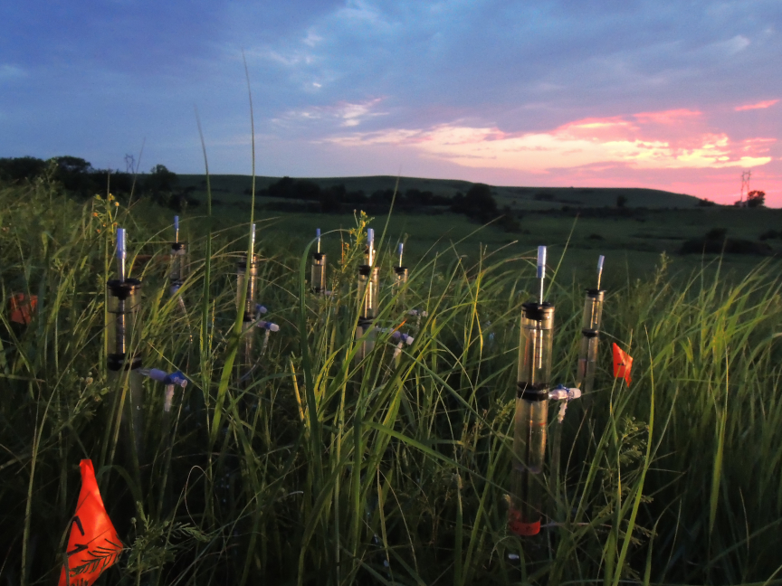 Newswise: Soils Could Be Affected by Climate Change, Impacting Water and Food