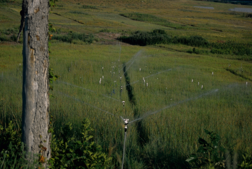 Newswise: Soils Could Be Affected by Climate Change, Impacting Water and Food