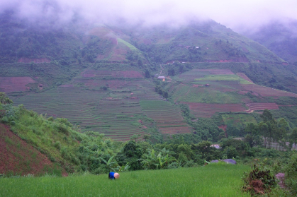 Vietnam farming