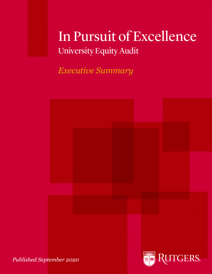 cover of the In Pursuit of Excellence: University Equity Audit report