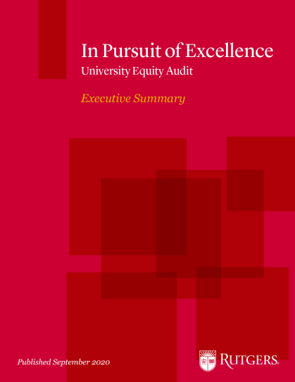 cover of the In Pursuit of Excellence: University Equity Audit report