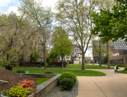 Campus quad