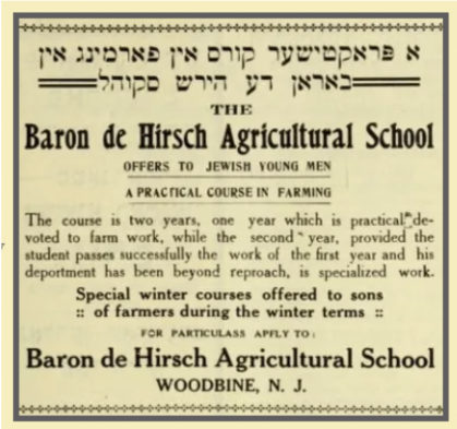 Baron De Hirsch Advertisement
