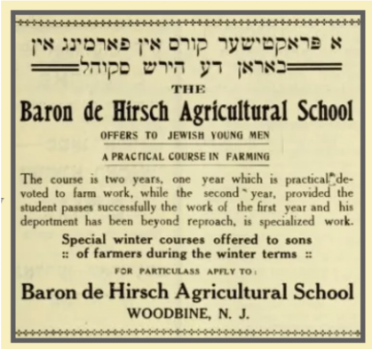 Baron De Hirsch Advertisement