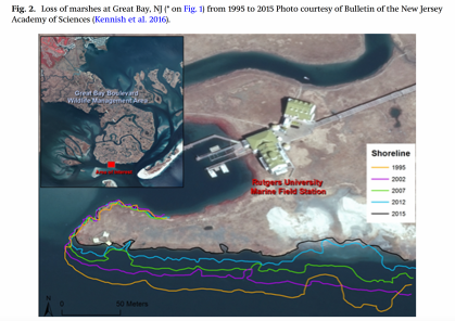 Loss of marshes at Great Bay, New Jersey between 1995 and 2015.