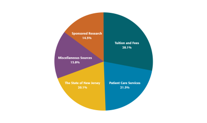  budget_revenues_pie_chart_062122-cropped.png 