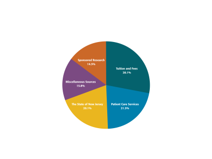 Budget Revenues