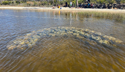 An underwater reef forms a horseshoe, protecting a beach.