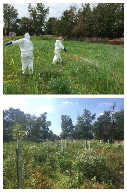 Top and bottom photos. Top shows people in white protective suits spraying insecticide. Bottom photos shows the land after it has been redesigned.