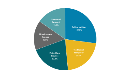 FY 2024 Revenue