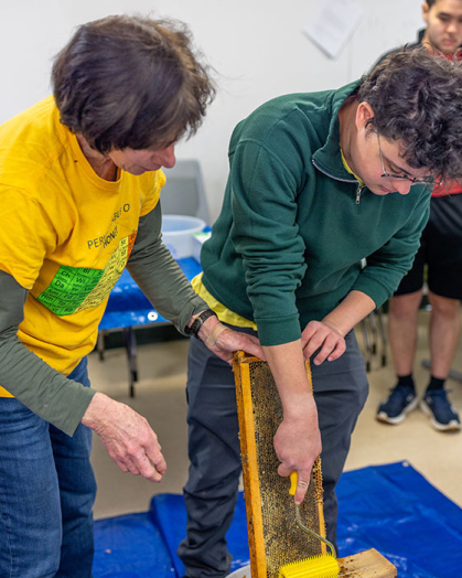 professor and student scrape a honeybee fram
