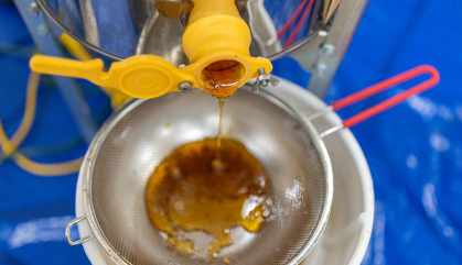 Honey dripping from a machine into a sieve for filtering.