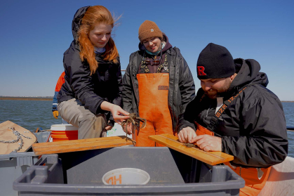 Measuring animals at the Marine filed station