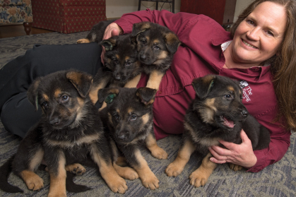 Alumna Peggy Gibbon with future guide dogs.