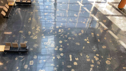 "Life Forms" is on the main floor inside the Life Sciences Building on Busch campus at Rutgers-New Brunswick.