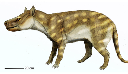 Prehistoric animal that looks like a jackal with brown body and yellow spots.
