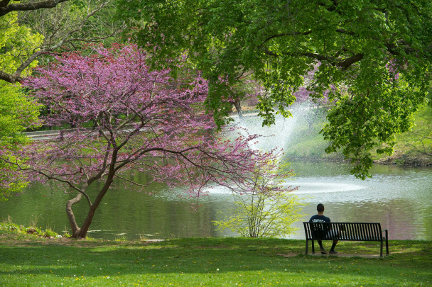 Passion Puddle in the spring on Cook Campus