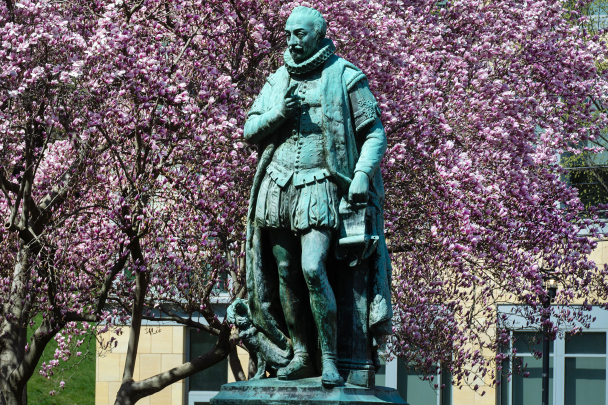 Magnolia trees in bloom on Voorhees Mall surrounding statue of Willie the Silent on an early spring day.