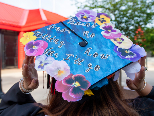 Decorated Motarboard