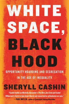 Book cover of White Space, Black Hood
