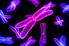 genes under microscope