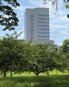 Head south on George Street toward Albany Street and look to the east to spot Johnson & Johnson’s world headquarters.