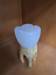Tooth Sculpture