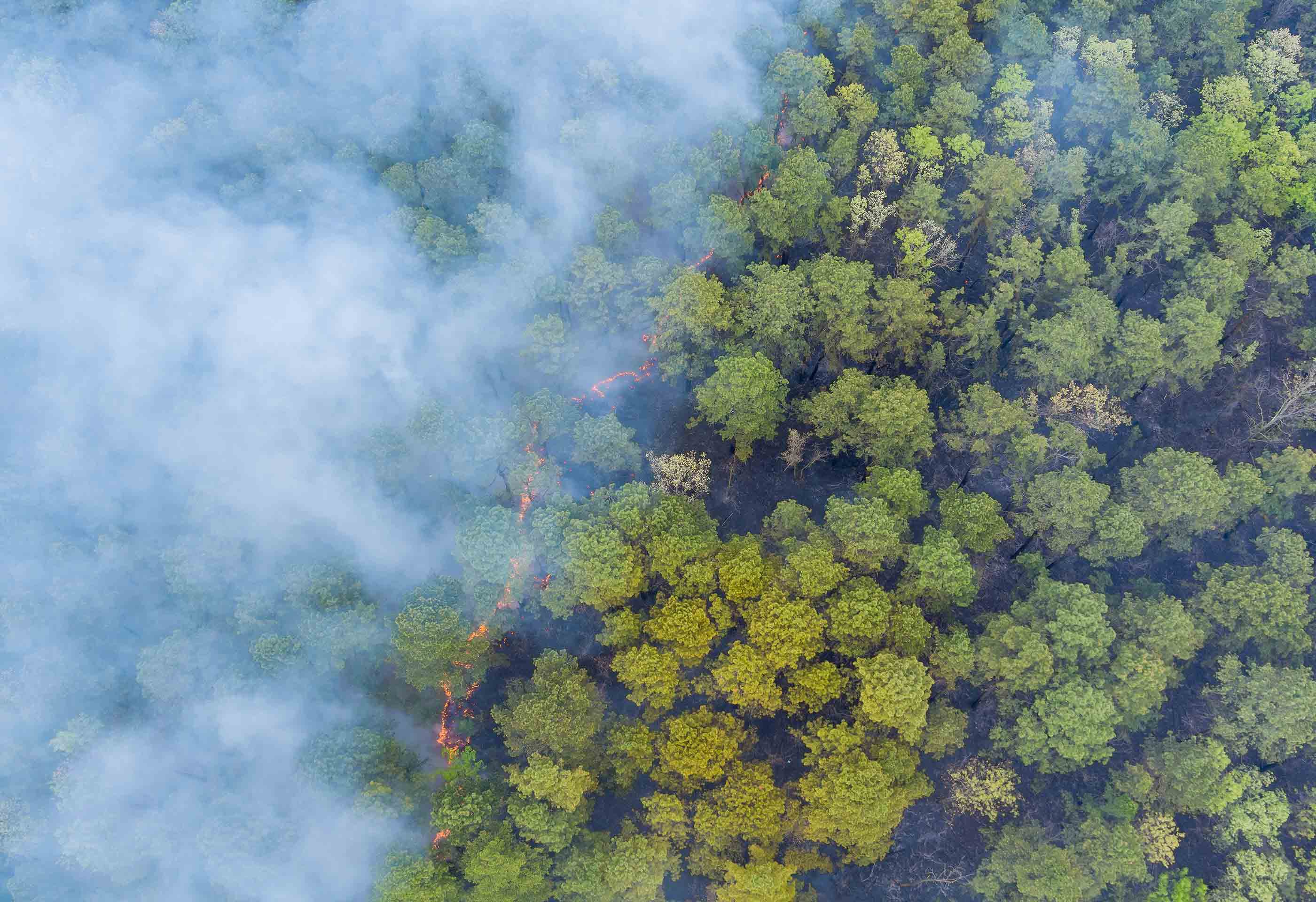 Rising Temperatures and Poor Air Quality Signal Future Impacts ...